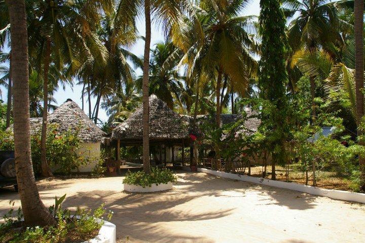 Ndame Beach Lodge Paje Extérieur photo