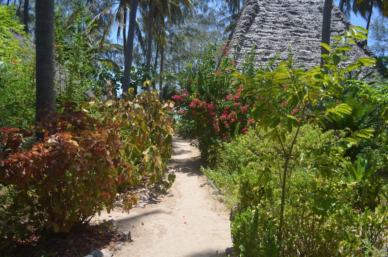 Ndame Beach Lodge Paje Extérieur photo