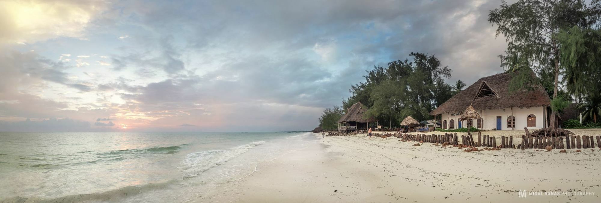Ndame Beach Lodge Paje Extérieur photo