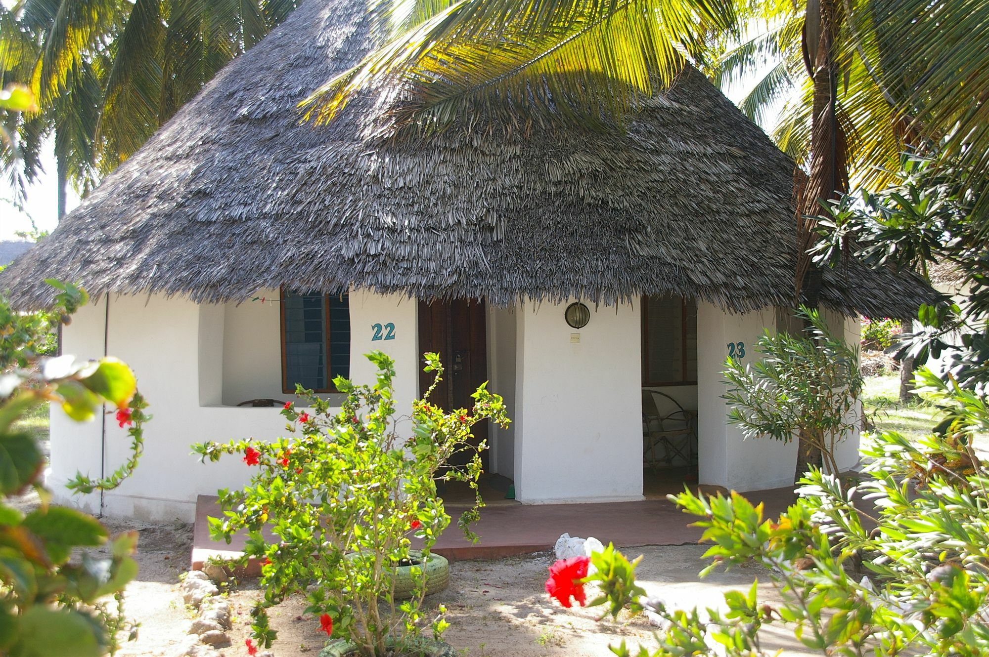 Ndame Beach Lodge Paje Extérieur photo